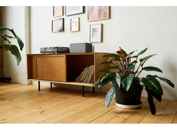Klipsch The Three Plus - Walnut Bluetooth-høyttaler, Heritage, optisk 